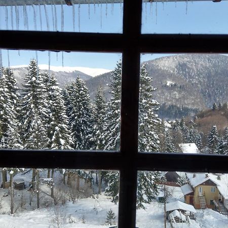 Grandpa'S Hidden Crib, 6 Bedroom, Pet Friendly Sinaia Exterior photo