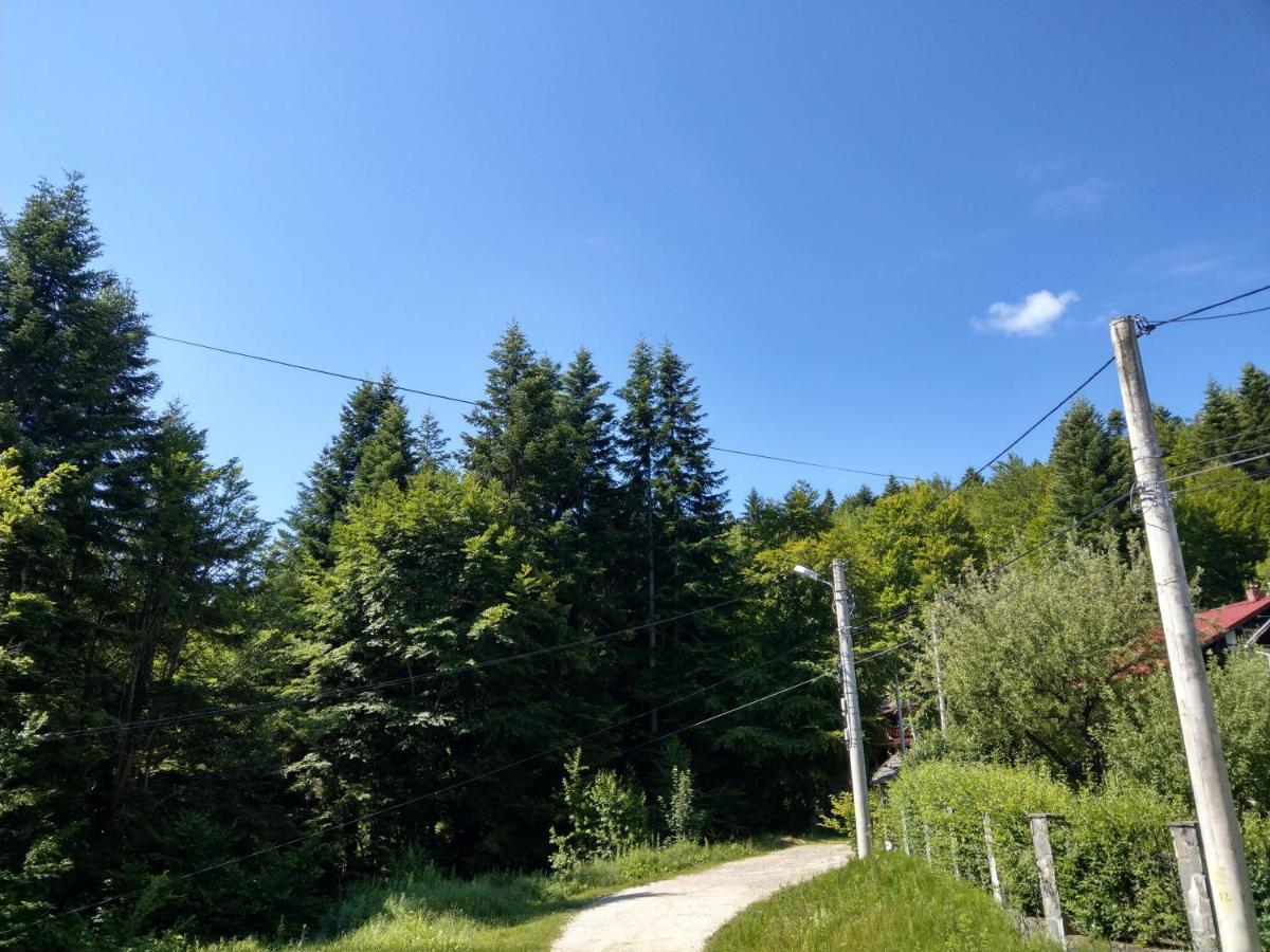 Grandpa'S Hidden Crib, 6 Bedroom, Pet Friendly Sinaia Exterior photo