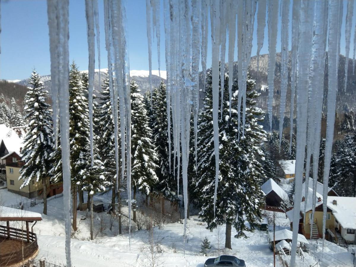 Grandpa'S Hidden Crib, 6 Bedroom, Pet Friendly Sinaia Exterior photo