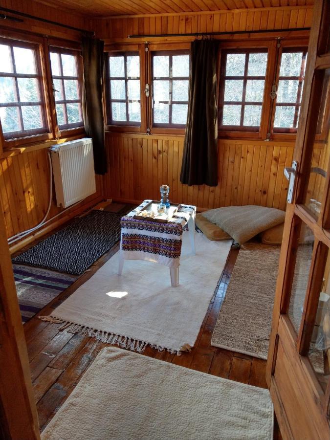 Grandpa'S Hidden Crib, 6 Bedroom, Pet Friendly Sinaia Exterior photo