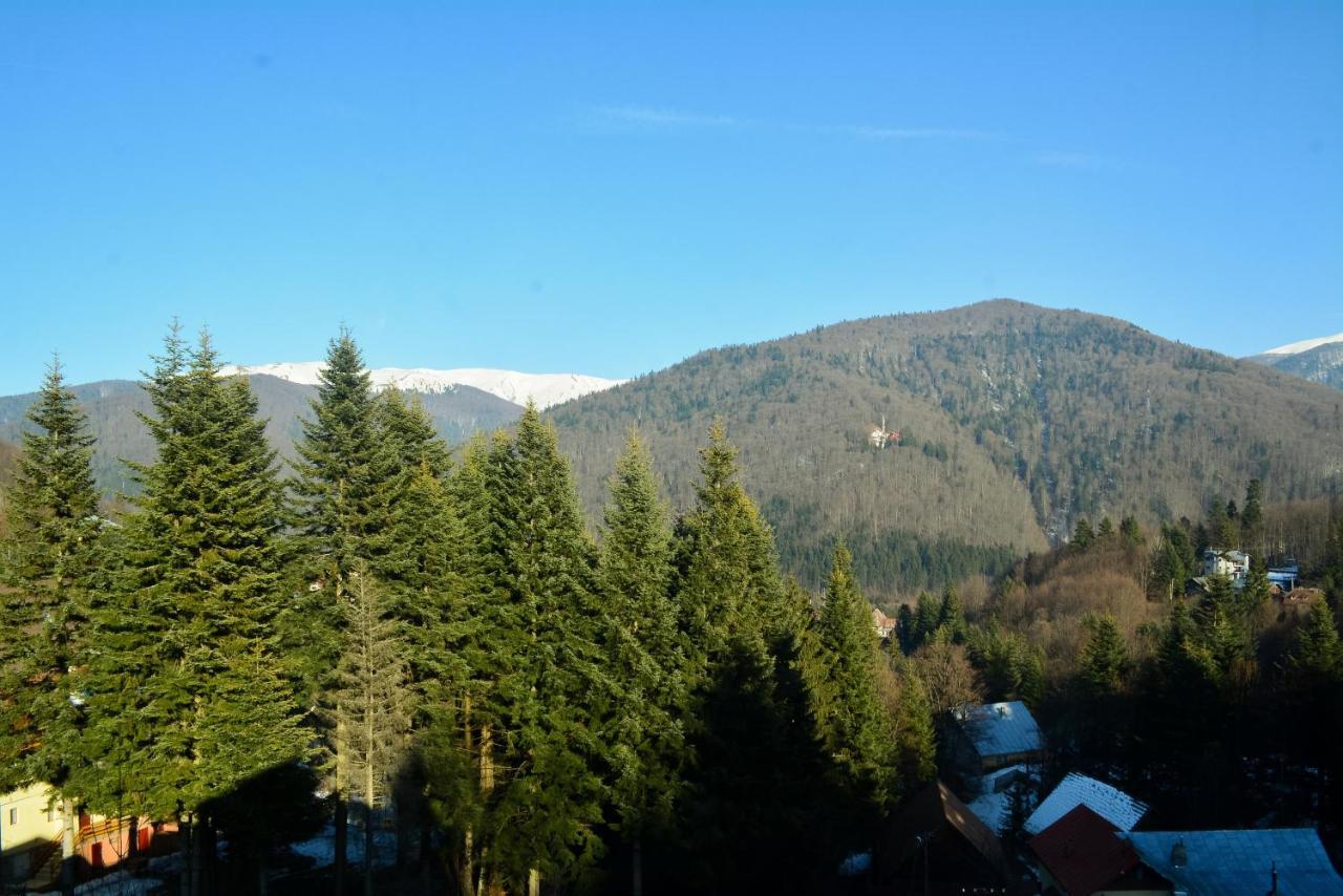 Grandpa'S Hidden Crib, 6 Bedroom, Pet Friendly Sinaia Exterior photo