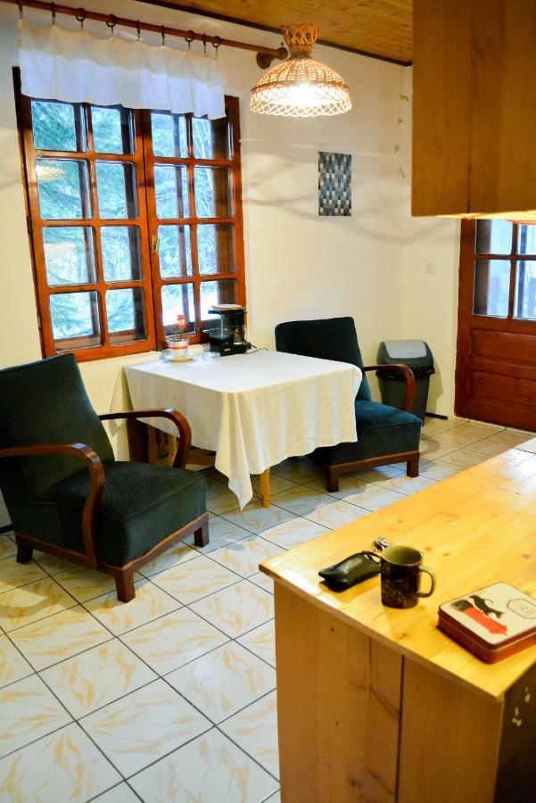 Grandpa'S Hidden Crib, 6 Bedroom, Pet Friendly Sinaia Exterior photo
