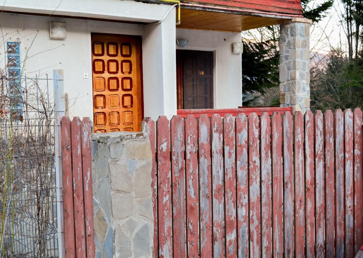 Grandpa'S Hidden Crib, 6 Bedroom, Pet Friendly Sinaia Exterior photo