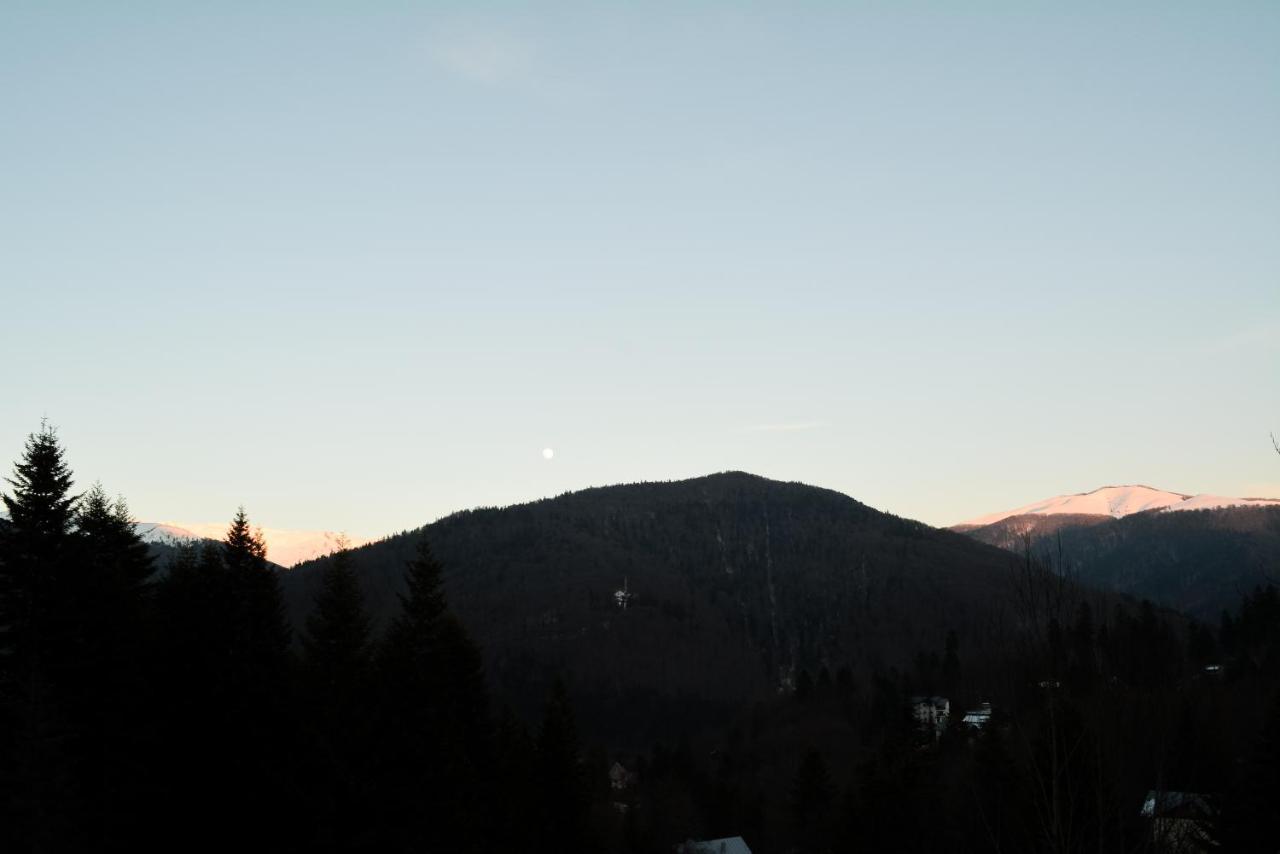 Grandpa'S Hidden Crib, 6 Bedroom, Pet Friendly Sinaia Exterior photo