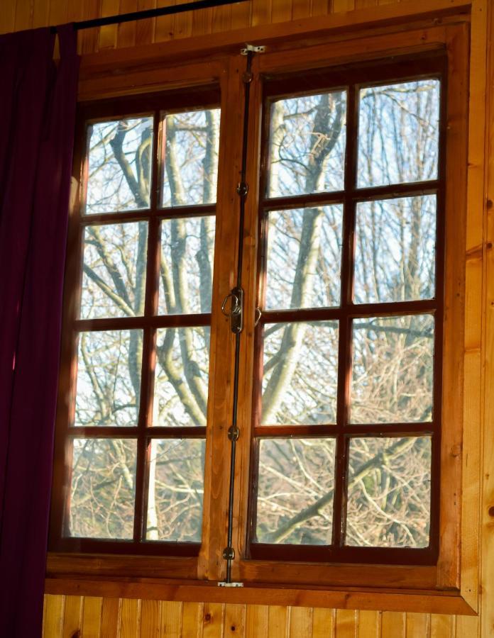 Grandpa'S Hidden Crib, 6 Bedroom, Pet Friendly Sinaia Exterior photo