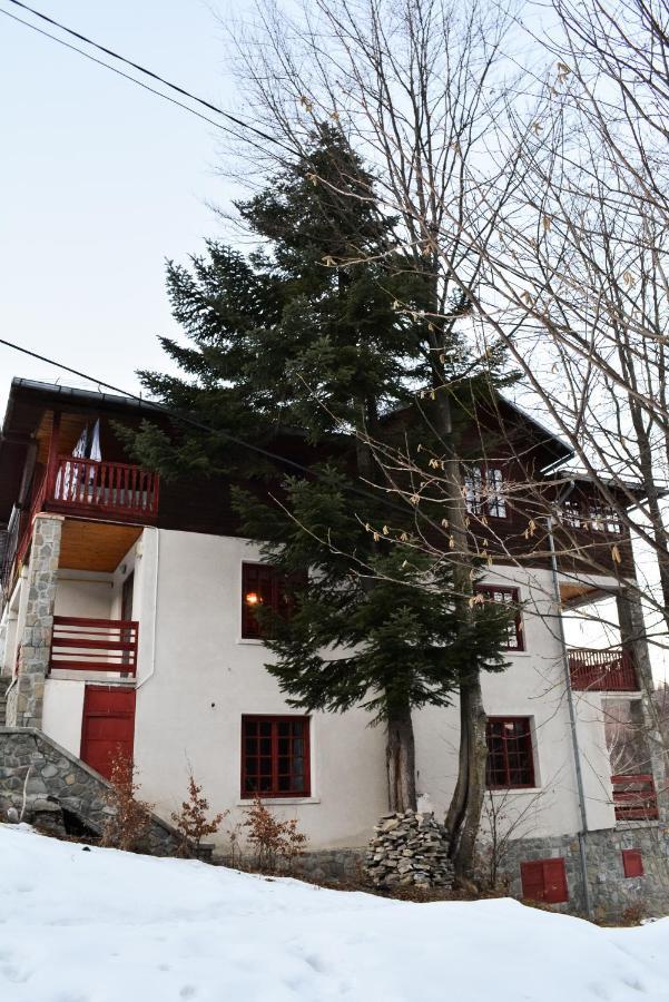 Grandpa'S Hidden Crib, 6 Bedroom, Pet Friendly Sinaia Exterior photo
