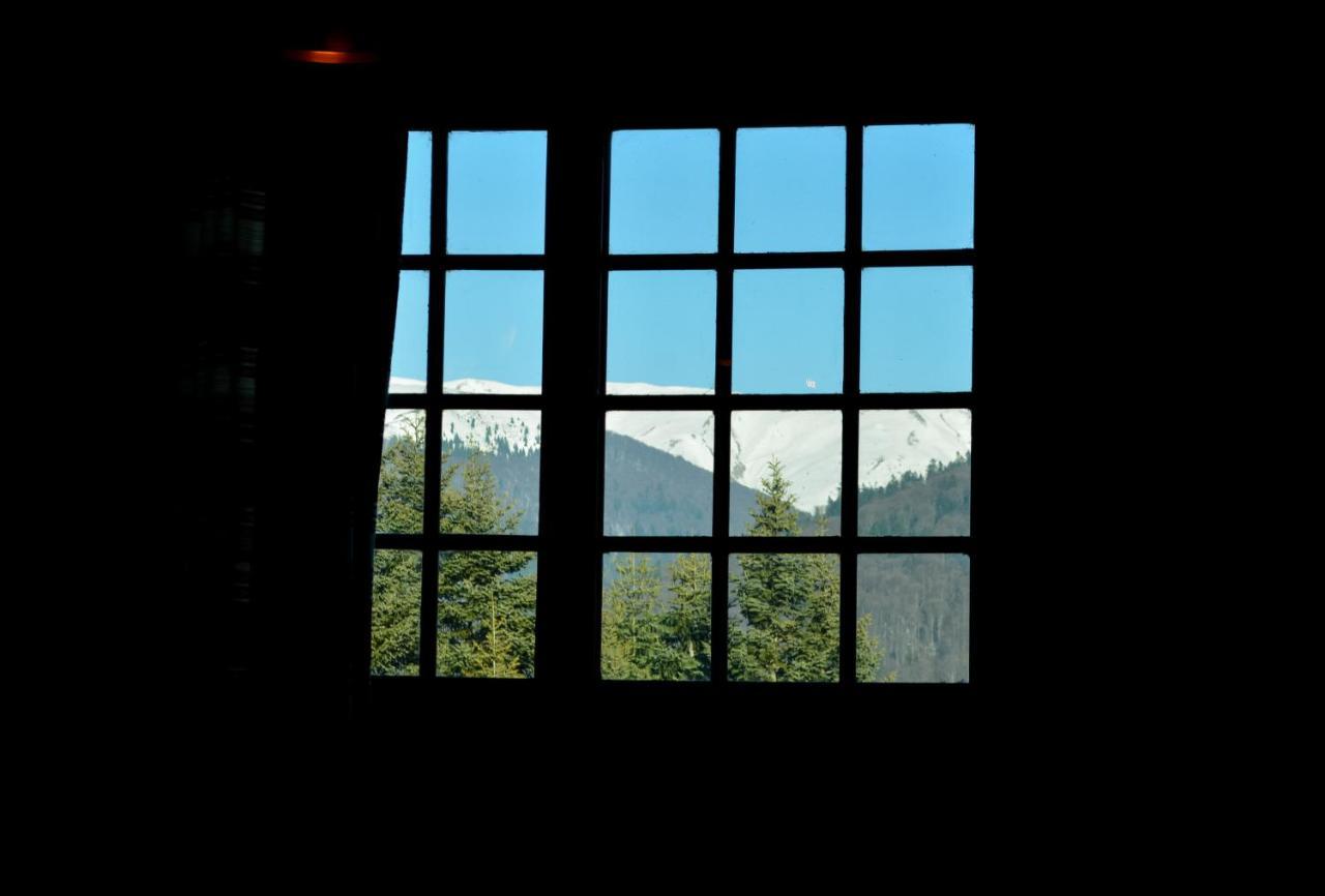 Grandpa'S Hidden Crib, 6 Bedroom, Pet Friendly Sinaia Exterior photo